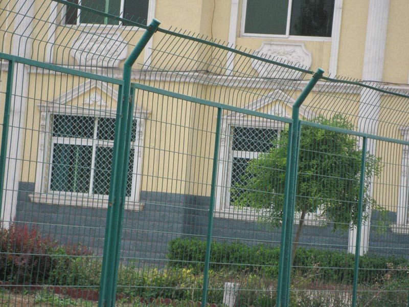 ����o�ھW���bЧ���D